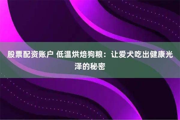 股票配资账户 低温烘焙狗粮：让爱犬吃出健康光泽的秘密