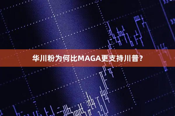 华川粉为何比MAGA更支持川普？