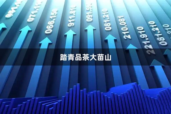 踏青品茶大苗山